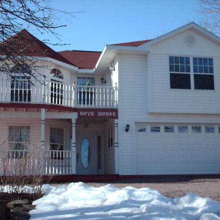 Dove House Bed & Breakfast Harbourside North Sydney Exterior photo